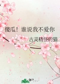 傻瓜!谁说我不爱你