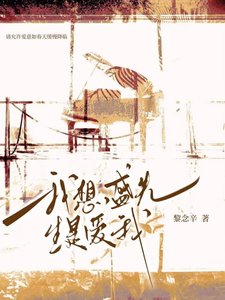 我想,盛先生唉我