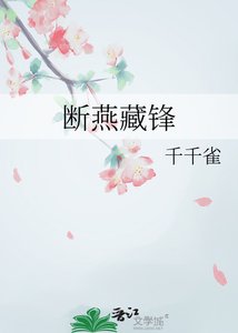 断燕藏锋